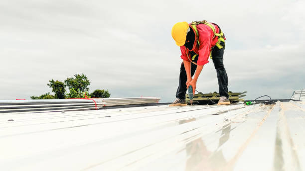 Best Sheet Metal Roofing  in Cedar Crest, MA