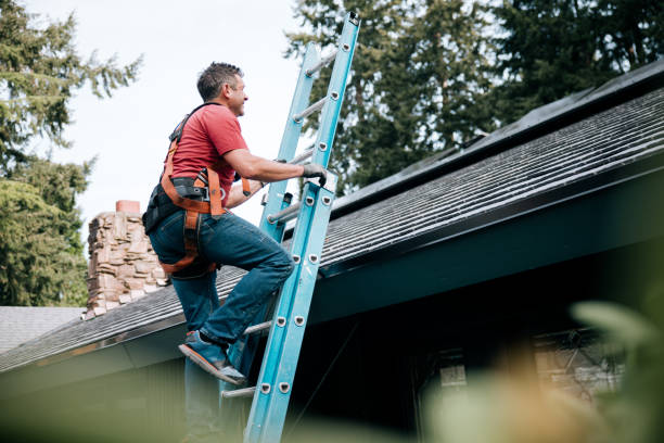 Waterproofing in Cedar Crest, MA